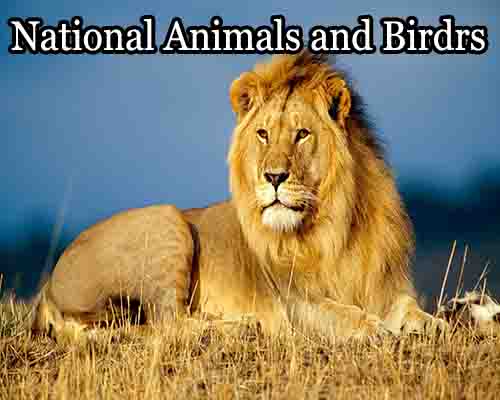List of National Animals and Birds of different Countries