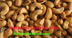 National Cashew Day-dry fruits and nuts